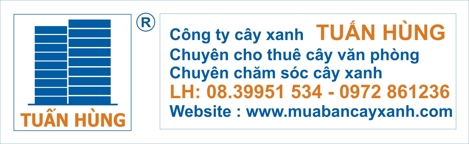 Dịch vụ cho thuê cây văn phòng công ty cây xanh Tuấn Hùng